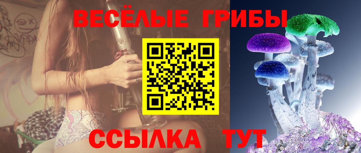Псилоцибиновые грибы мицелий  Вход с VPN  Елец  где купить наркоту  Галлюциногенные грибы Cubensis 